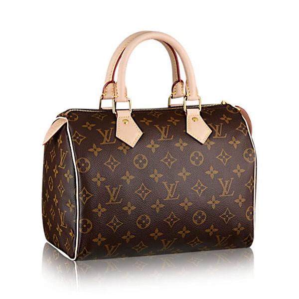 Louis Vuitton Speedy 25 M41109 - Click Image to Close