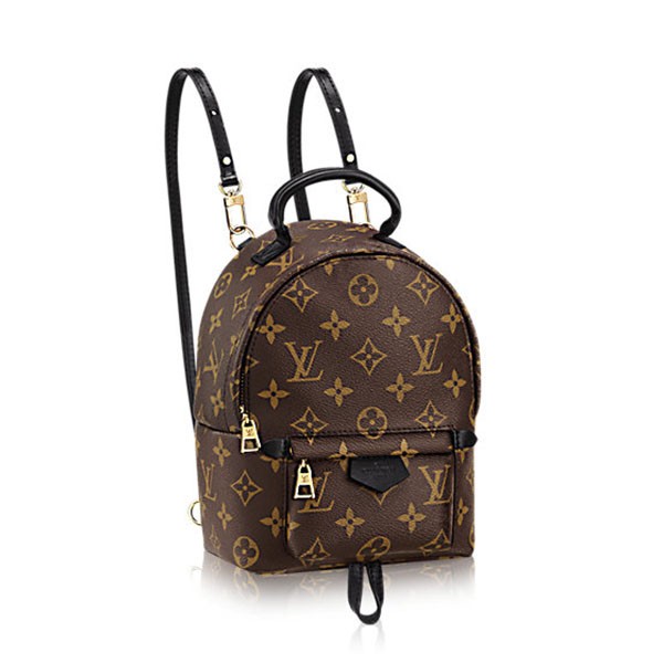 Louis Vuitton Palm Springs Mini M41562 - Click Image to Close