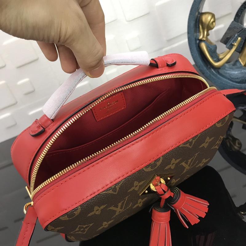 Louis Vuitton Saintonge M43556