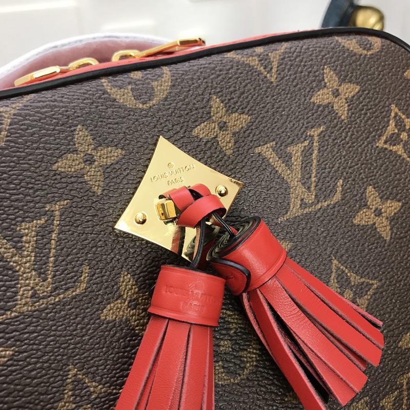 Louis Vuitton Saintonge M43556