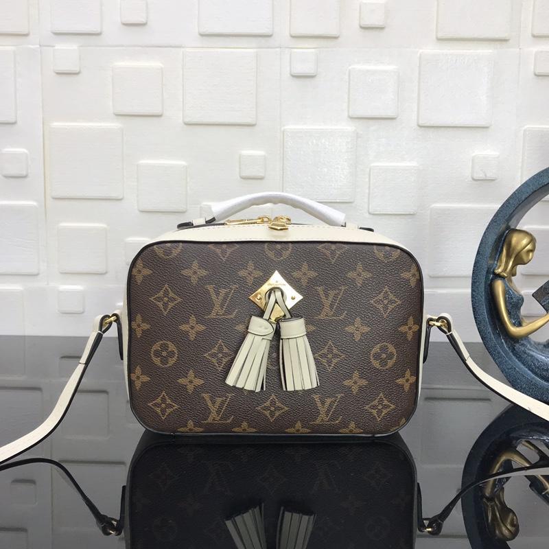 Louis Vuitton Saintonge M43559